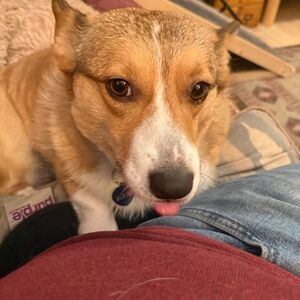 Meet your Posher, Arthur